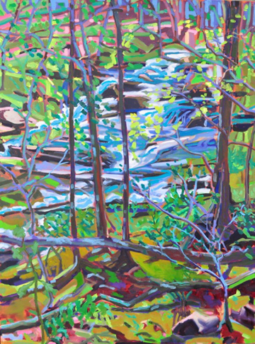 Appalachian Trail Waterfall by Karen Blair at Les Yeux du Monde Art Gallery