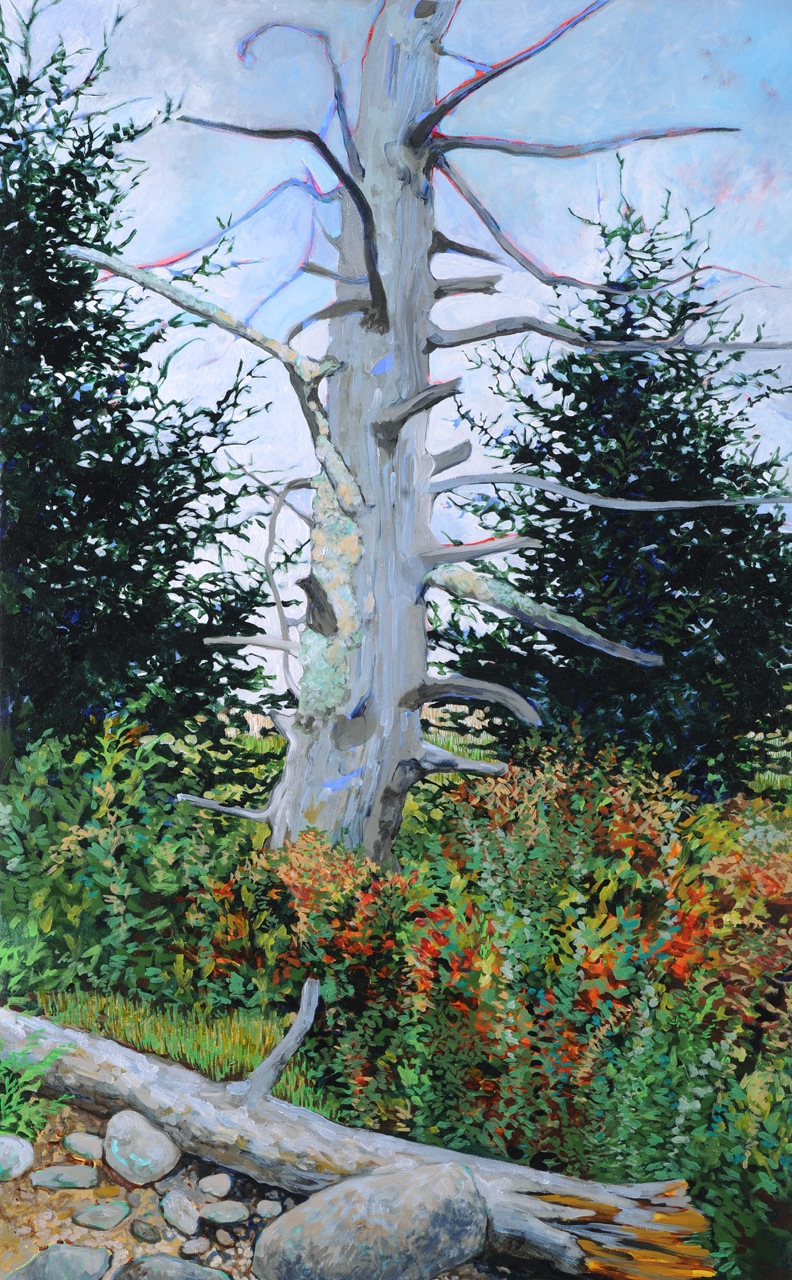 Dead Fir by Elizabeth Bradford at Les Yeux du Monde Art Gallery