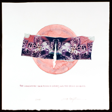 Laughing Orchid by Cary Brown