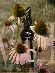 August (Garden Tools) by Anne Chesnut