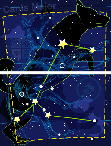 Dog Star: Henry 2 by Anne Chesnut at Les Yeux du Monde Art Gallery