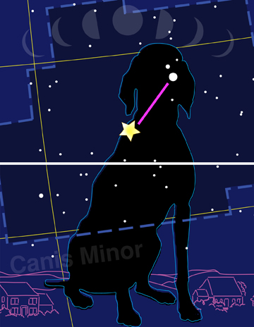 Dog Star: Louisa by Anne Chesnut at Les Yeux du Monde Art Gallery