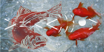 Emoticon: Carp #1 by Anne Chesnut at Les Yeux du Monde Art Gallery