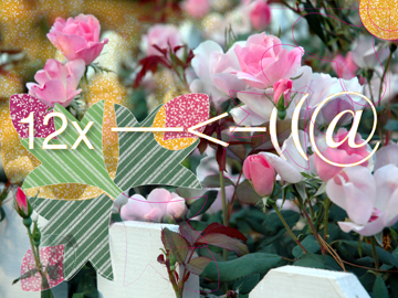 Emoticon Country Rose by Anne Chesnut