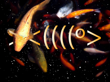 Emoticion Gold Fish by Anne Chesnut
