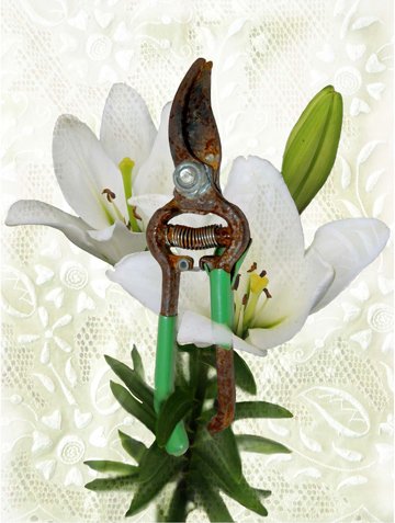 Garden Tool Solo, White by Anne Chesnut at Les Yeux du Monde Art Gallery