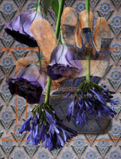 September (Garden Tools) by Anne Chesnut
