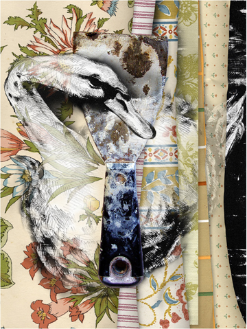 Ugly Duckling (from the series Tools, Before) by Anne Chesnut at Les Yeux du Monde Art Gallery