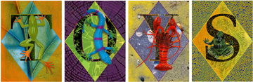 Toys by Anne Chesnut