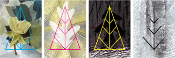 Tree of Life | Seasons by Anne Chesnut
