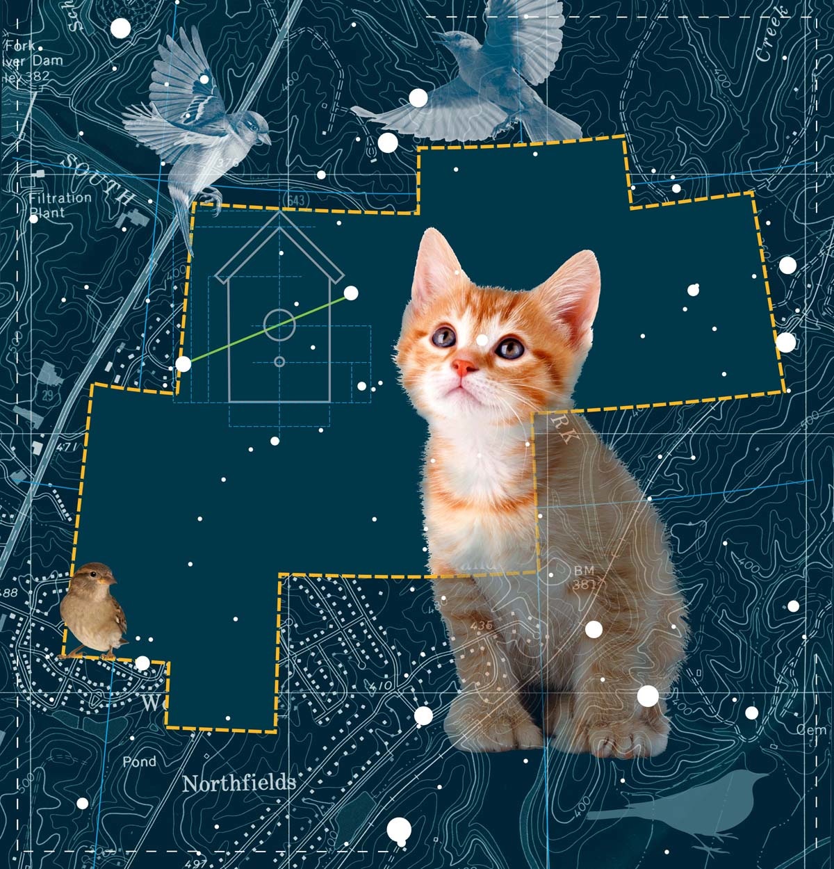 Megallan II by Anne Chesnut at Les Yeux du Monde Art Gallery
