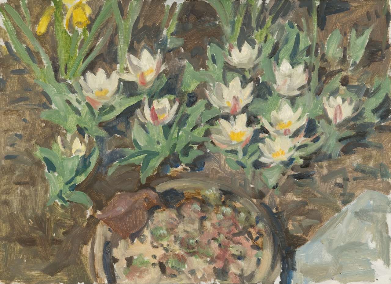 Species Tulips by Richard Crozier at Les Yeux du Monde Art Gallery