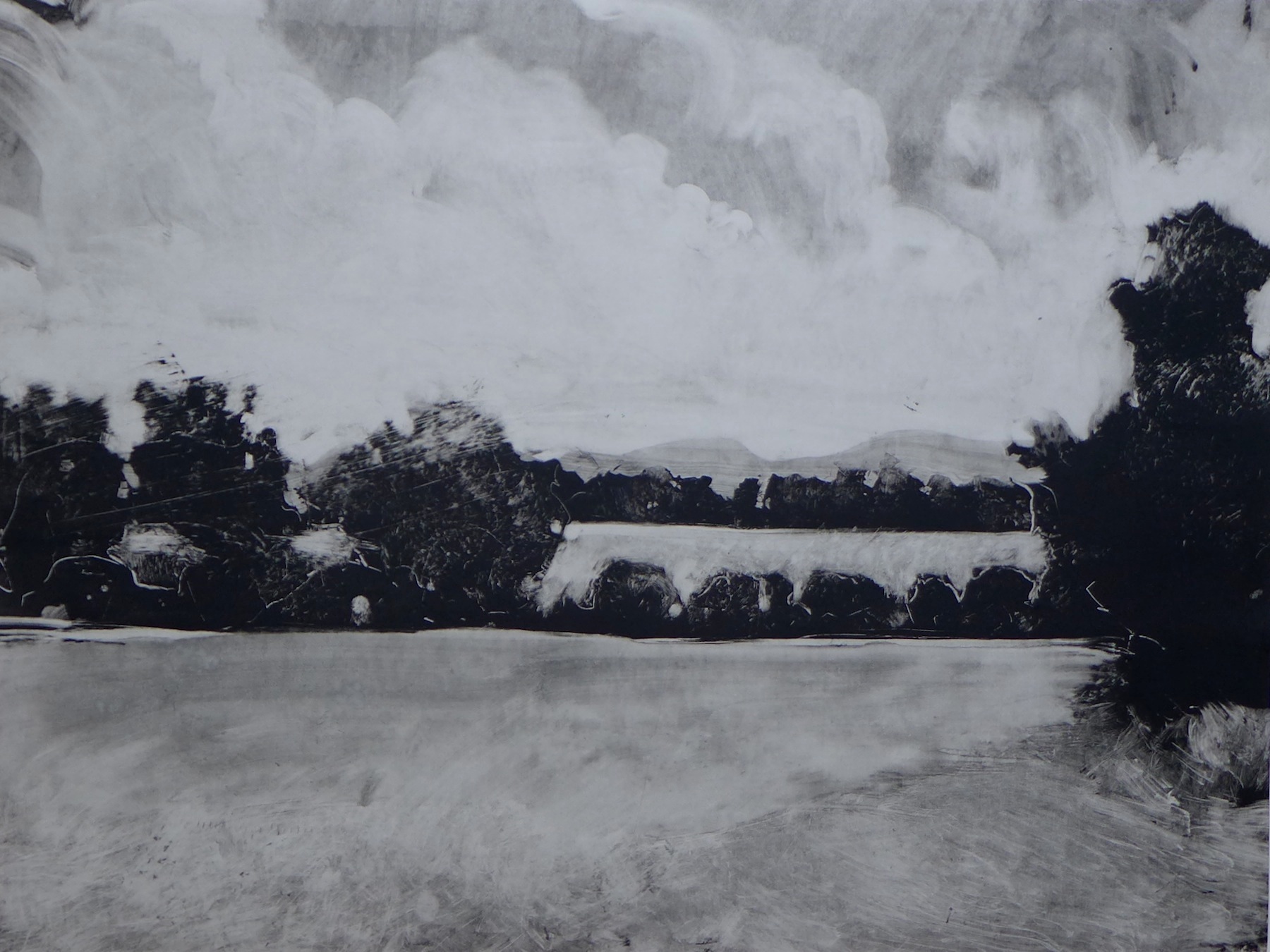 Bedloe's Track by David Hawkins at Les Yeux du Monde Gallery