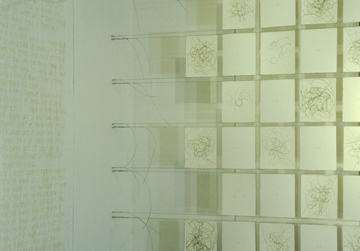 Grass Lines by Sanda Iliescu at Les Yeux du Monde Gallery