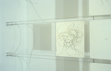 Grass Lines by Sanda Iliescu at Les Yeux du Monde Gallery