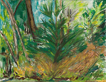 Maine Christmas Tree by Lou Jordan at Les Yeux du Monde Art Gallery