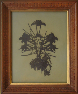 Flora Rorschach