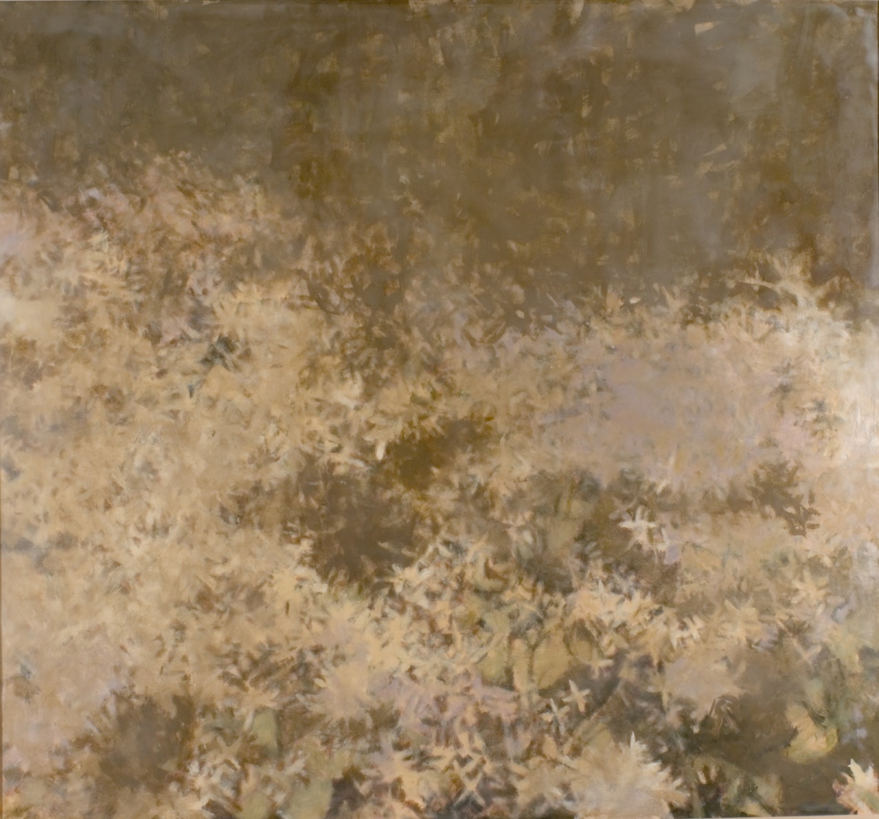 Clematis in the Late Afternoon by Anne Harris Massie at Les Yeux du Monde Art Gallery