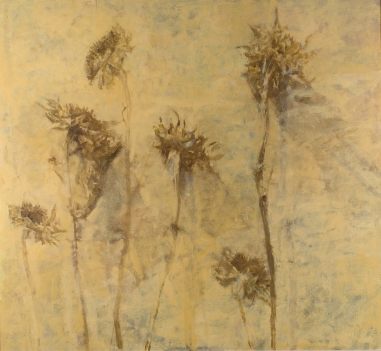 Dried Sunflowers by Anne Harris Massie at Les Yeux du Monde Art Gallery