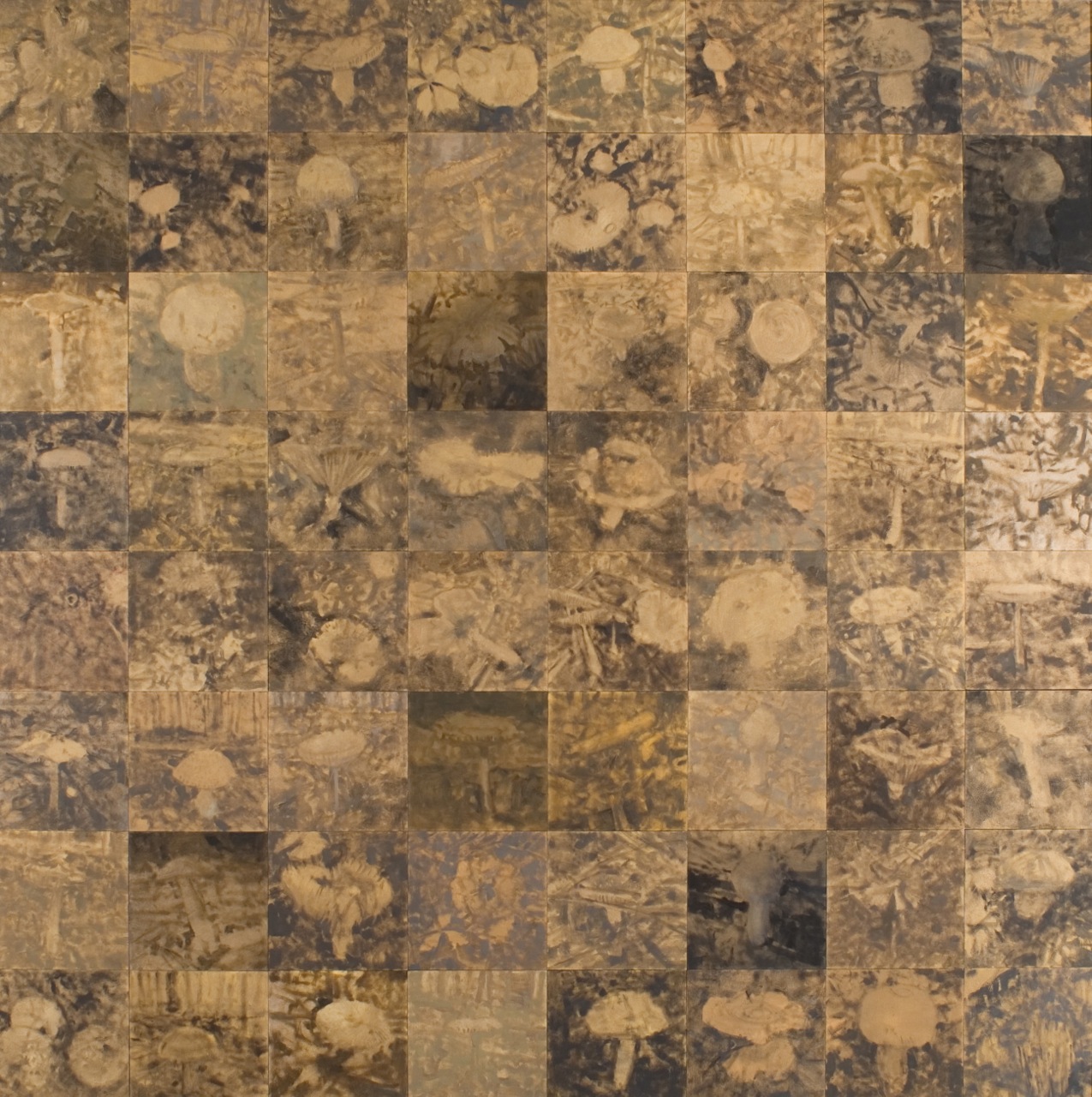 Forty-eight Mushrooms by Anne Harris Massie at Les Yeux du Monde Art Gallery