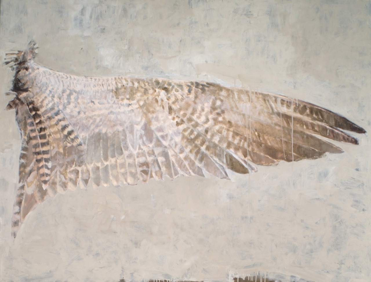Hawk Wing by Anne Harris Massie at Les Yeux du Monde Art Gallery