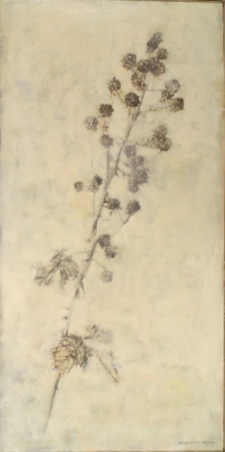 Study of Blackberry Vine Cut from the Cedar Tree by Anne Harris Massie at Les Yeux du Monde Art Gallery