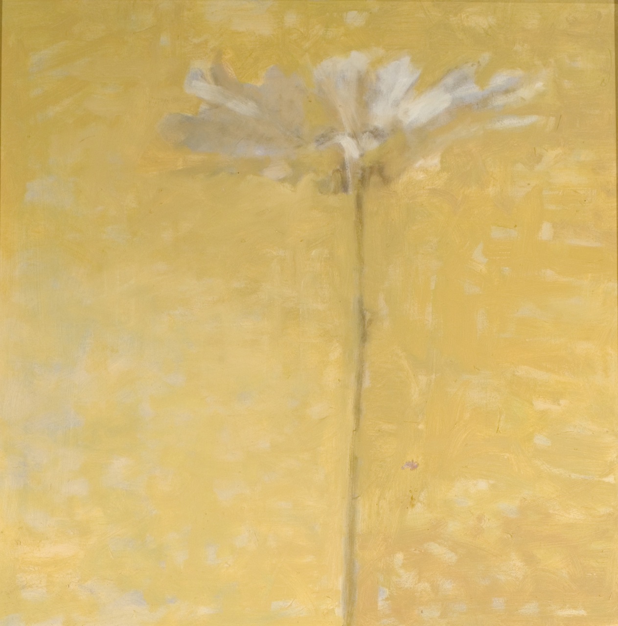 The White Daisy by Anne Harris Massie at Les Yeux du Monde Art Gallery