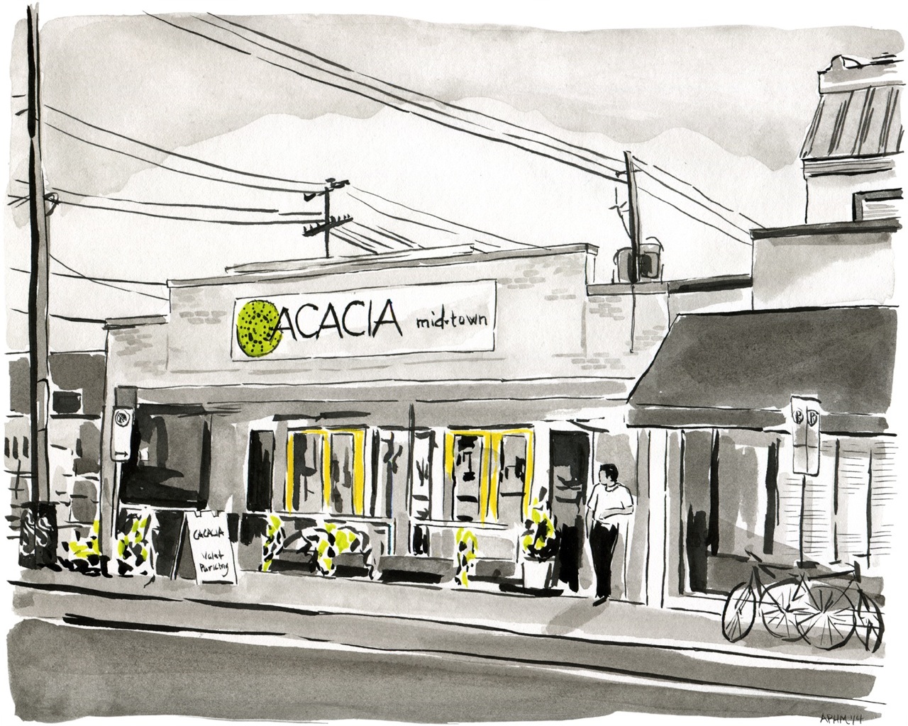 Acacia by Peyton Hurt Millikan at Les Yeux du Monde Art Gallery