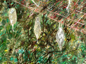 Dr. Bates Collection (detail) by Elizabeth Schoyer at Les Yeux du Monde Art Gallery