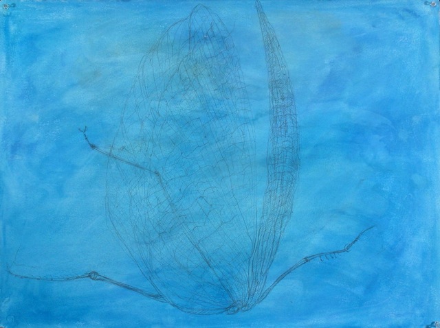 Napoleon's Collection Blue by Elizabeth Schoyer at Les Yeux du Monde Art Gallery