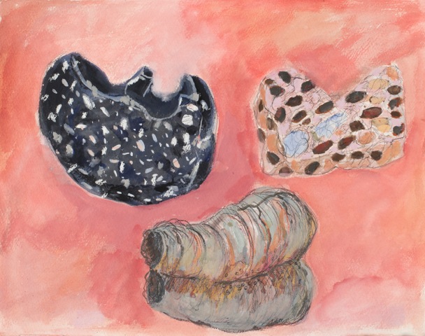 Zoophytes by Elizabeth Schoyer at Les Yeux du Monde Art Gallery