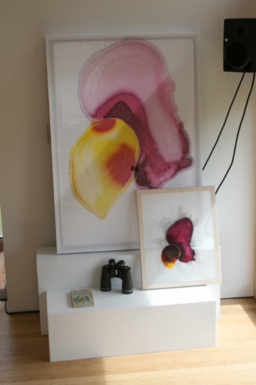 Rob Tarbell's Bird-like Things in Things Like Trees exhibition installation at Les Yeux du Monde Art Gallery
