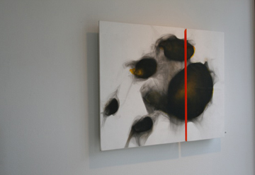 Rob Tarbell's Bird-like Things in Things Like Trees exhibition installation at Les Yeux du Monde Art Gallery