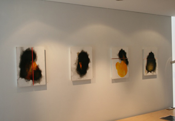 Rob Tarbell's Bird-like Things in Things Like Trees exhibition installation at Les Yeux du Monde Art Gallery