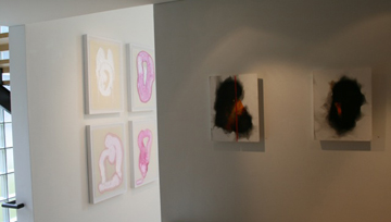 Rob Tarbell's Bird-like Things in Things Like Trees exhibition installation at Les Yeux du Monde Art Gallery