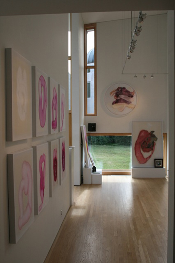 Rob Tarbell's Bird-like Things in Things Like Trees exhibition installation at Les Yeux du Monde Art Gallery