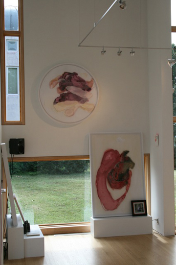 Rob Tarbell's Bird-like Things in Things Like Trees exhibition installation at Les Yeux du Monde Art Gallery