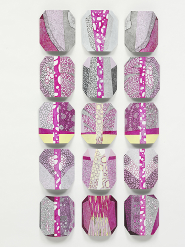 Ornamentum V by Esmé Thompson