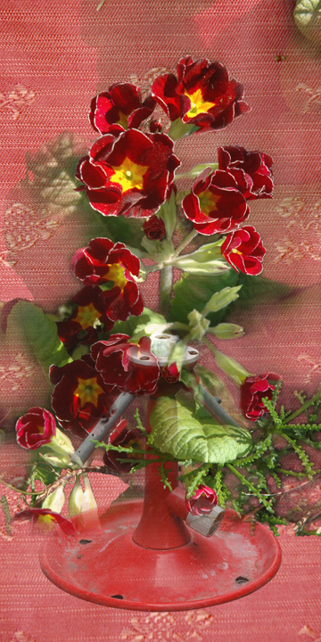 Sprinkler & Primrose by Anne Chesnut at Les Yeux du Monde