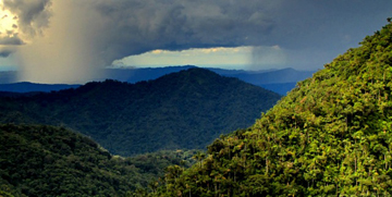 Acres and Art for the Amazon (photo courtesy of Adrian Tejedor)