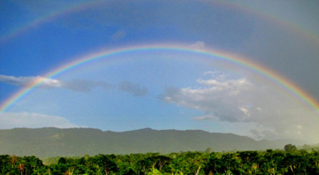 Acres and Art for the Amazon (photo courtesy of Adrian Tejedor)