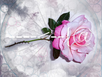 Emoticon Rose, Heaven Scent by Anne Chesnut at Les Yeux du Monde Gallery