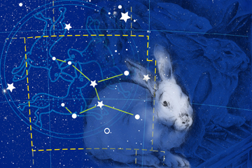 Lepus by Anne Chesnut at Les Yeux du Monde Gallery