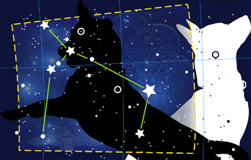 Stargazers by Anne Chesnut at Les Yeux du Monde Gallery