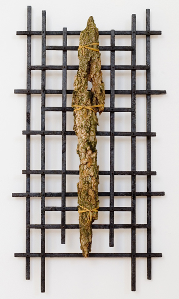 Bark Serues #7 by Kurt Steger at Les Yeux du Monde Art Gallery
